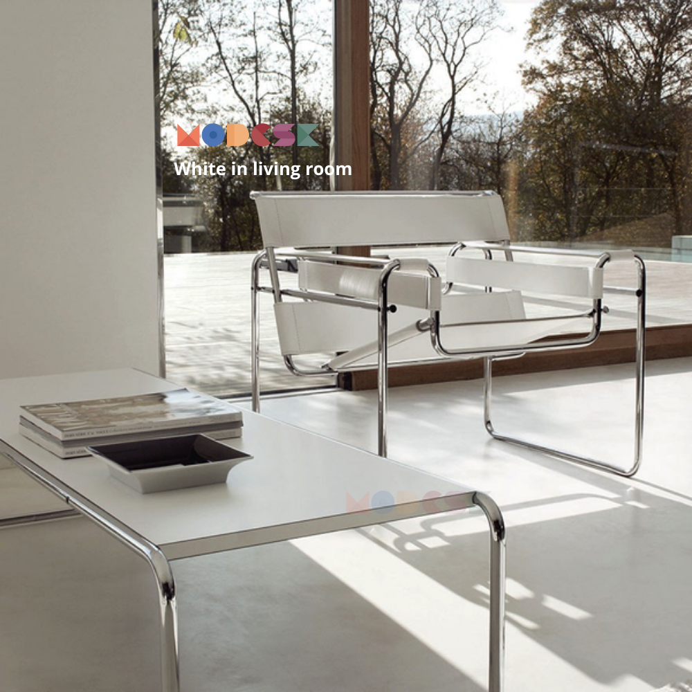 SS Bold Leather Arm Chair D810 x R740 x C754 mm