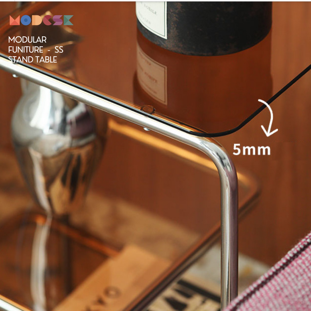 SS Stand Table Color D520 x R300 x C590mm Inox 304