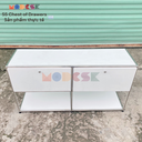 SS Stand Table Color D520 x R300 x C590mm Inox 304